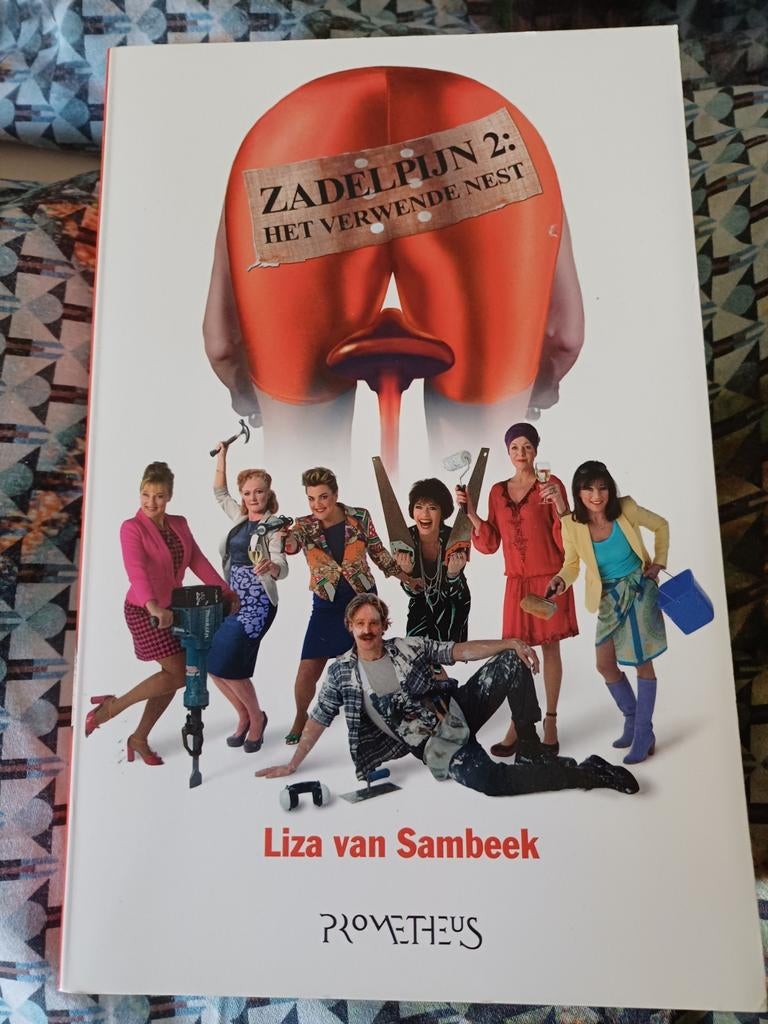 Zadelpijn 2: Het Verwende Nest - Liza van Sambeek, Boeken, Romans, Zo goed als nieuw, Nederland, Ophalen of Verzenden