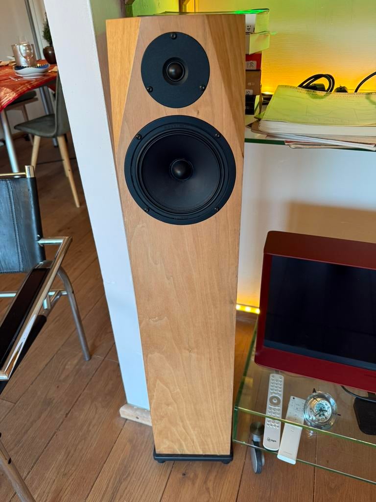 DIAPASON NEOS FLOOR STANDING SPEAKERS, Audio, Tv en Foto, Luidsprekers, Zo goed als nieuw, Minder dan 60 watt, Front, Rear of Stereo speakers