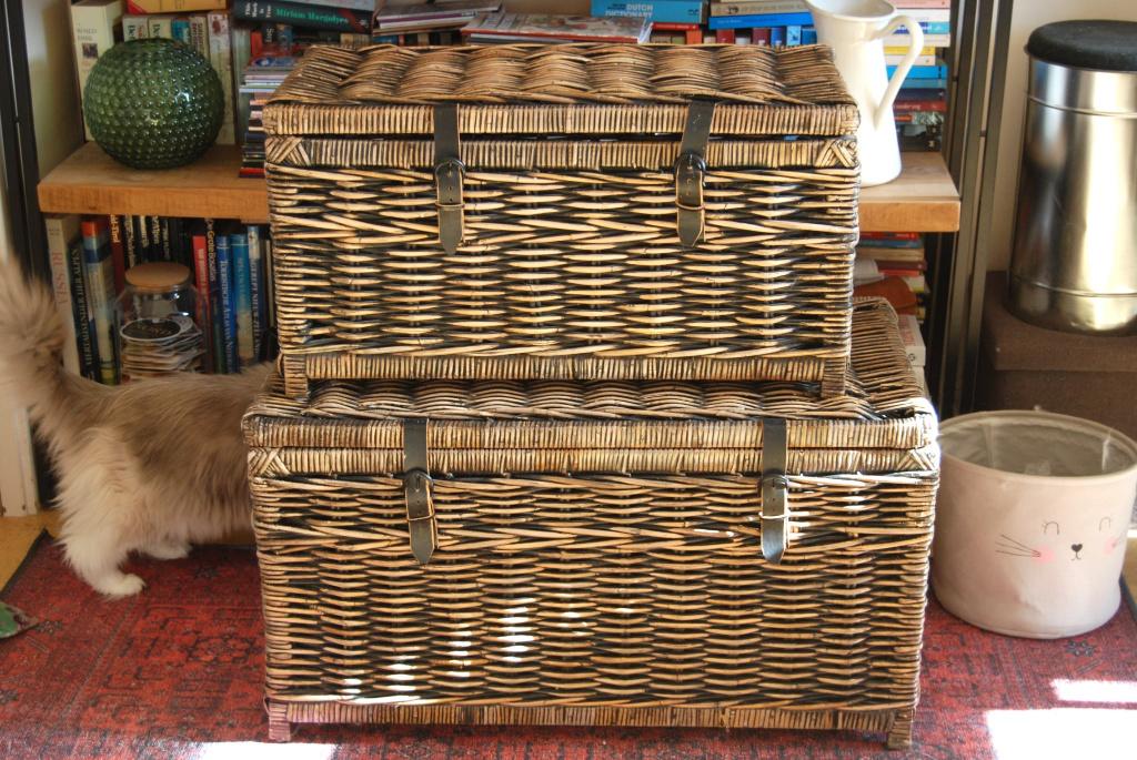 2 grote rieten kisten / manden, Huis en Inrichting, Woonaccessoires | Kisten, Ophalen, Overige materialen, Minder dan 50 cm, Gebruikt