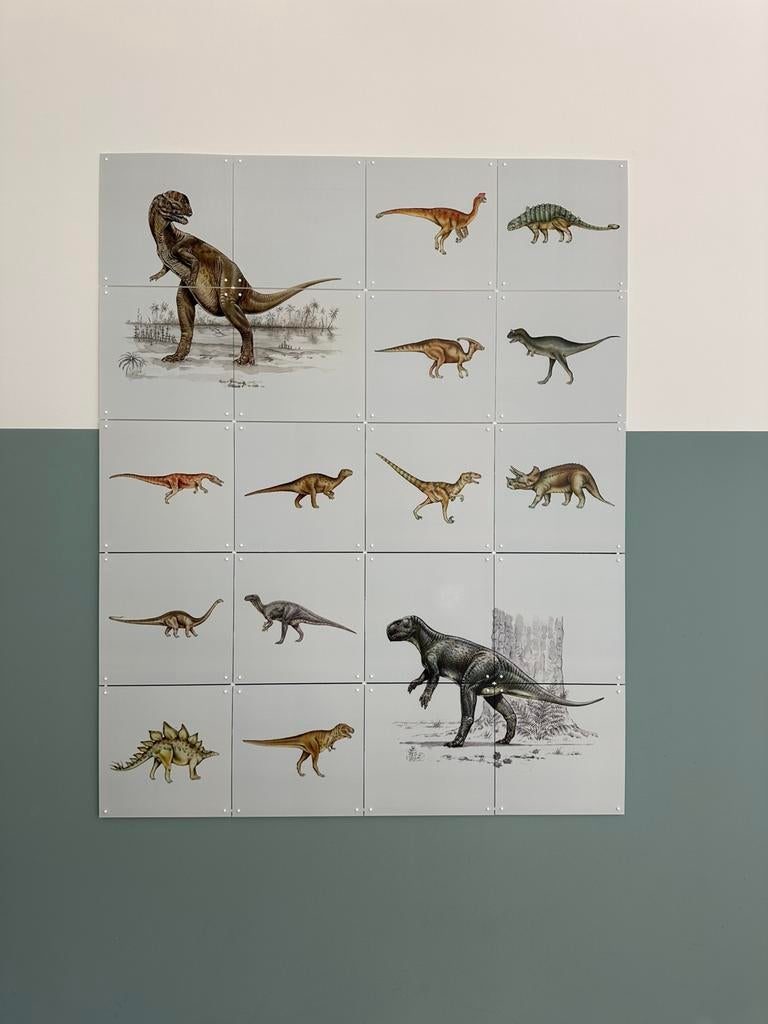 IXXI Dino Collage 80x100cm, Ophalen of Verzenden, Zo goed als nieuw, Schilderij, 75 tot 100 cm