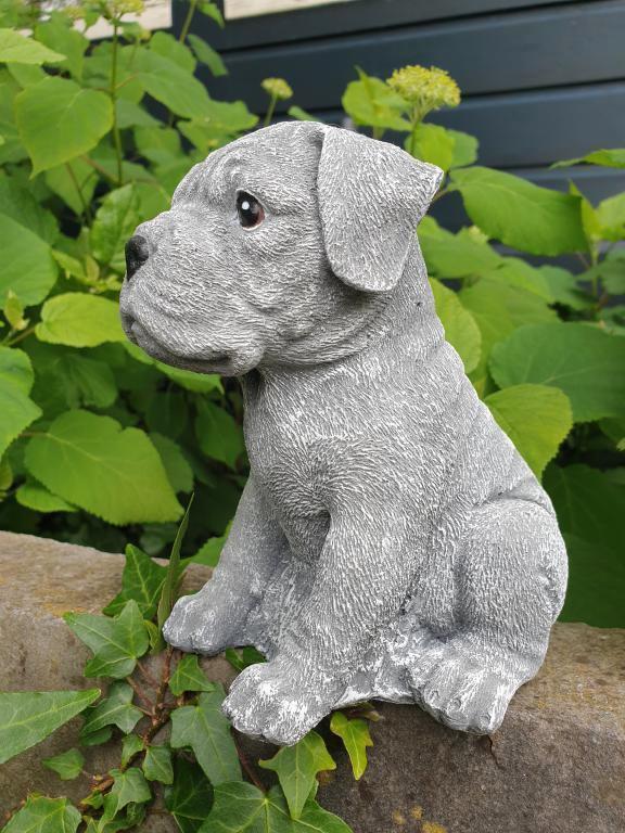 boxer hond , beeld, Tuin en Terras, Tuinbeelden, Nieuw, Kunststof, Ophalen of Verzenden