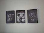 Set van 3 ingelijste canvas prints: Leeuw, Olifant, Luipaard, 50 tot 75 cm, Ophalen of Verzenden, 50 tot 75 cm, Print