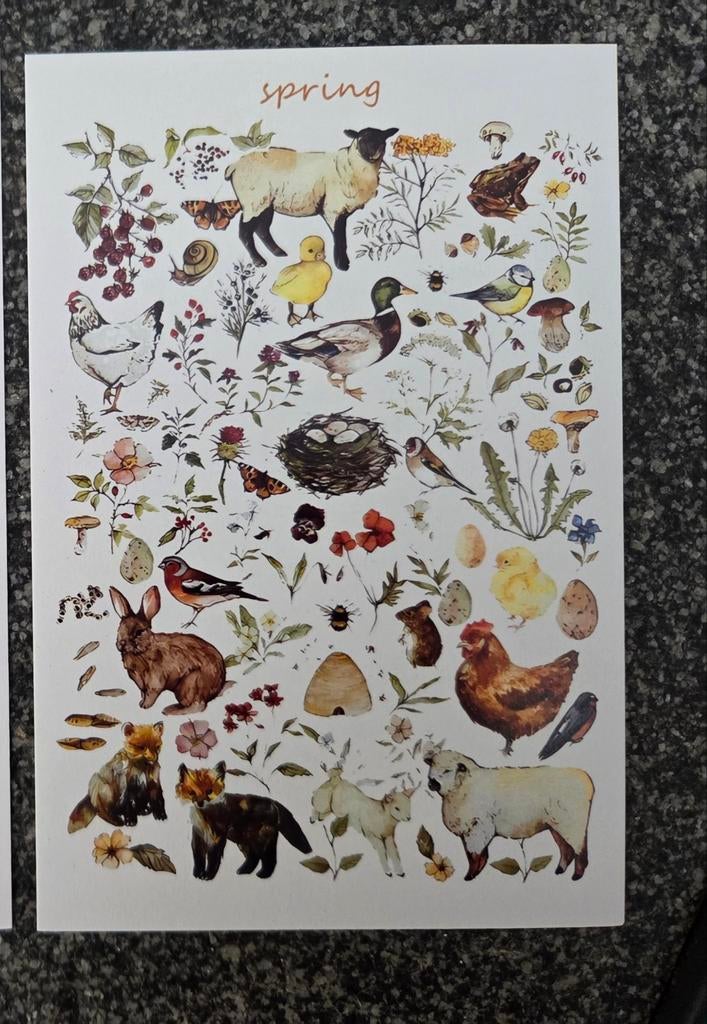 DIEREN  VOORJAAR meerdere beschikbaar, Ophalen, 1980 tot heden, Hond of Kat