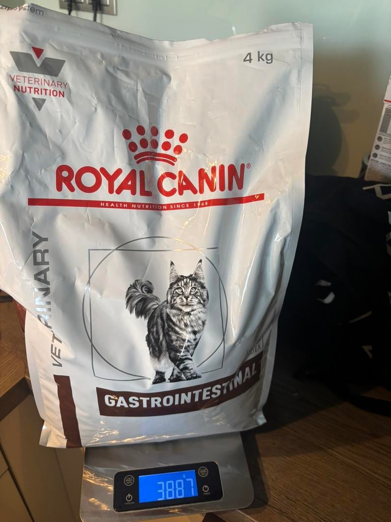 Royal Canin Gastrointestinal voer kat, Ophalen of Verzenden, Kat