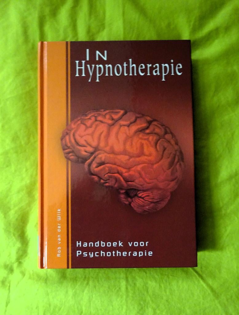 In Hypnotherapie * Handboek psychotherapie - R. van der Wilk, Verzenden, Gelezen