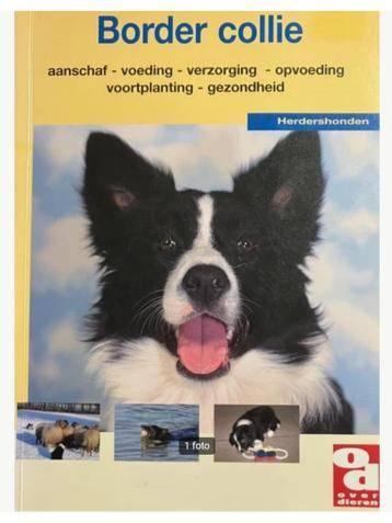 Border collie - Marcella Kauderer, Boeken, Dieren en Huisdieren, Nieuw, Honden, Ophalen of Verzenden