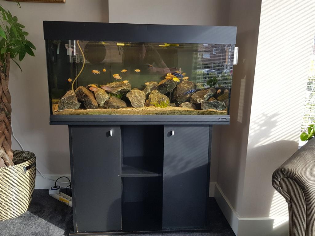 Aquarium van 1 meter met meubel, Dieren en Toebehoren, Vissen | Aquaria en Toebehoren, Ophalen, Gebruikt