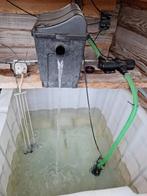 complete quarantaine set, IBCtank, filter, pomp, UVlamp, Karper of Koi