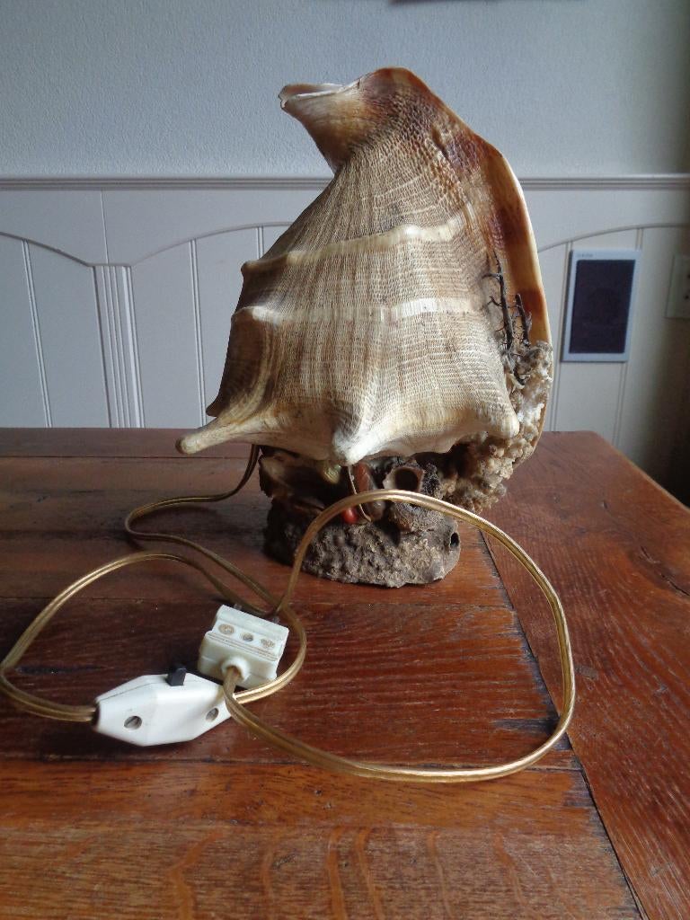 schelpenlamp, Huis en Inrichting, Ophalen of Verzenden, Gebruikt, Overige materialen, Minder dan 50 cm