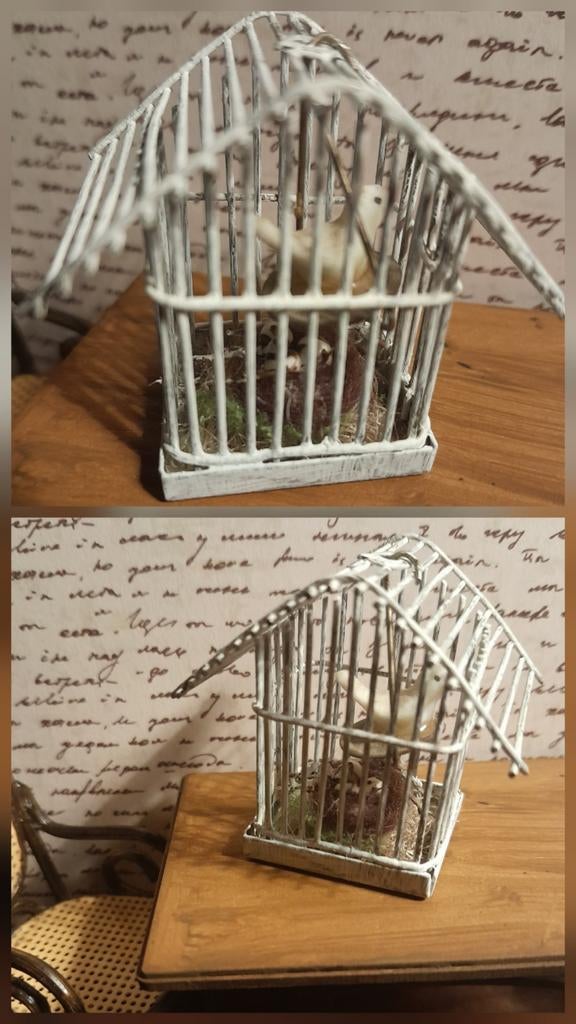 🪺 PPH 1.12 VOGELKOOITJE MET VOGELTJE & NESTJE MET EITJES 🪺, Ophalen of Verzenden, Poppenhuis