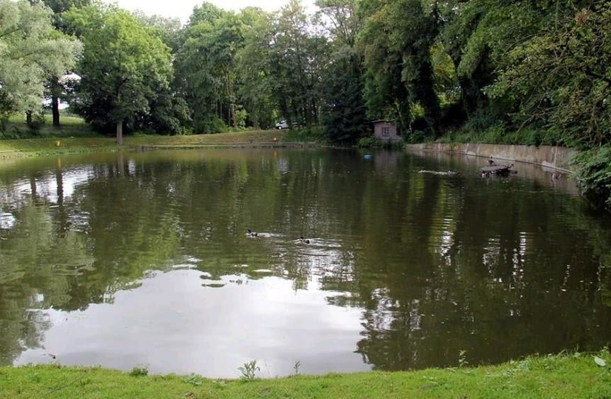 Vijver te huur gezocht!, Tuin en Terras, Ophalen of Verzenden