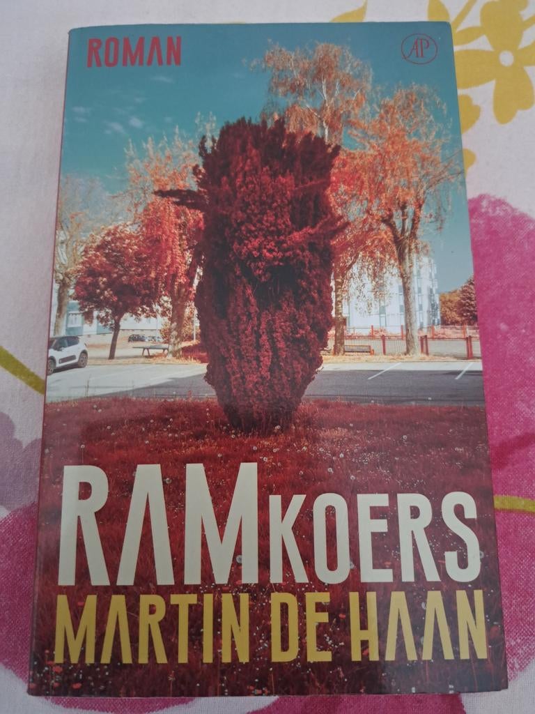 Martin de Haan - Ramkoers, Boeken, Literatuur, Zo goed als nieuw, Ophalen of Verzenden