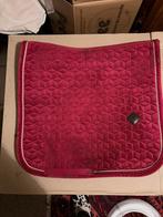 Kentucky zadeldek, Dieren en Toebehoren, Ophalen of Verzenden, Gebruikt, Dekje