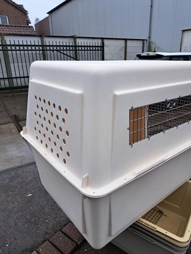 Honden transport box, Ophalen