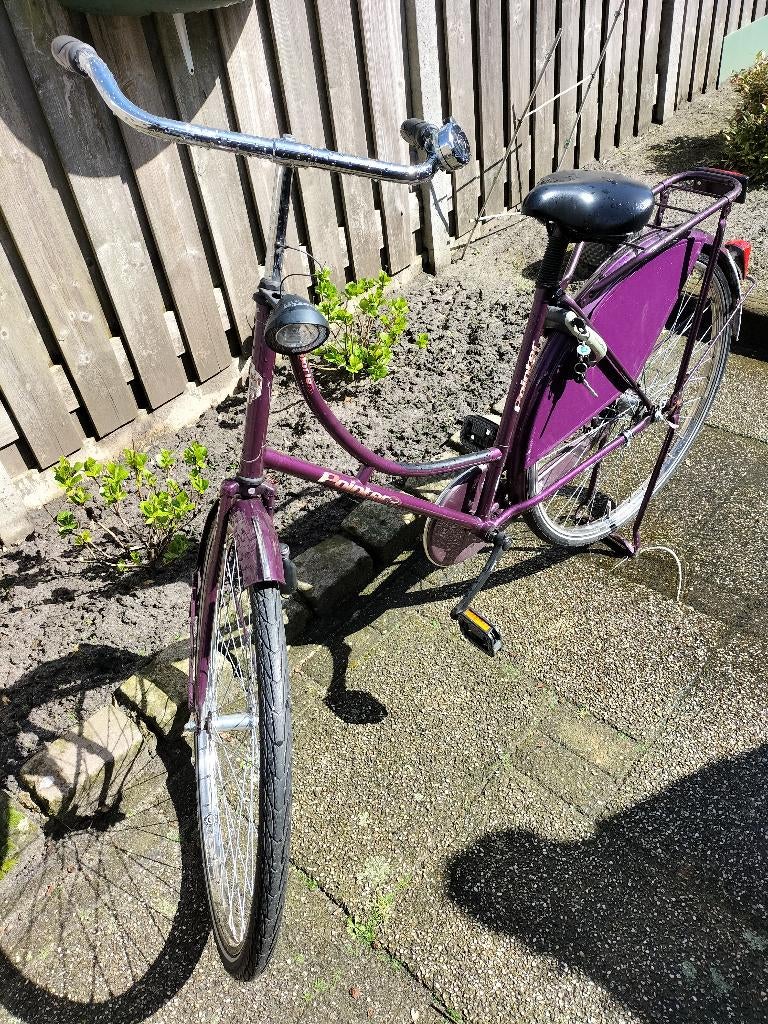 POINTER Damesfiets, Terugtraprem, (Extra) lage instap, Zo goed als nieuw, 50 tot 53 cm