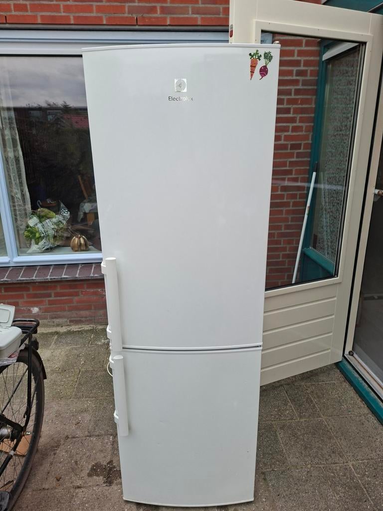 Koelkast, Zonder vriesvak, 160 cm of meer, Ophalen of Verzenden, Minder dan 75 liter