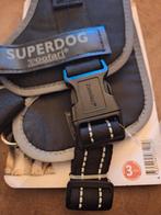 Nieuw riem hond, Ophalen of Verzenden, Nieuw