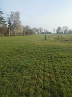 Weide te huur voor paard of hooi land, Dieren en Toebehoren, Stalling en Weidegang