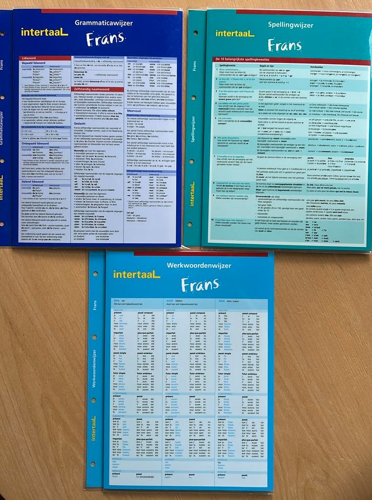 Intertaal alles wat je moet weten over de Franse taal !, Ophalen of Verzenden, Zo goed als nieuw