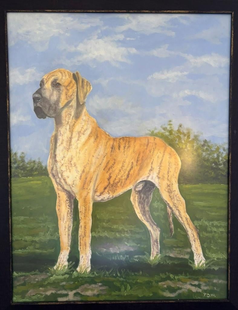 Schilderij Duitse Dog, Ophalen, 50 tot 75 cm, Nieuw, Schilderij