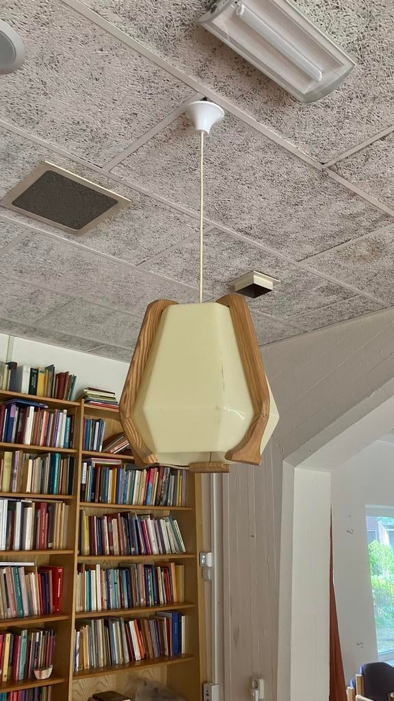 Antroposofische hanglamp, Ophalen, Gebruikt, Hout, Minder dan 50 cm