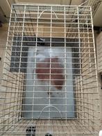 Honden bench, Ophalen of Verzenden, Gebruikt, 75 tot 110 cm, Minder dan 65 cm