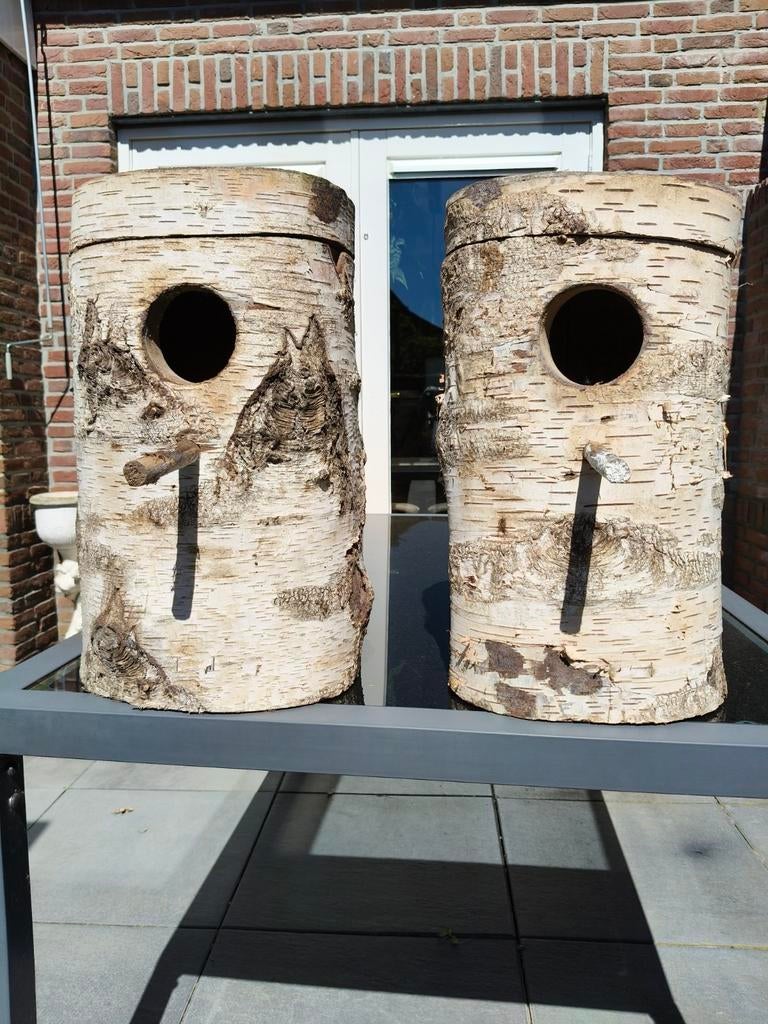 Natuur broed blokken, Meerdere dieren, Parkiet