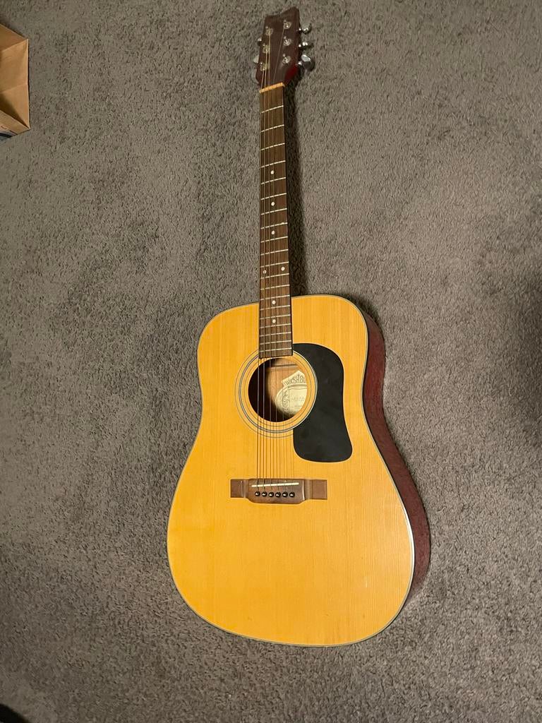 Washburn akoestische gitaar, Muziek en Instrumenten, Ophalen, Gebruikt, Western- of Steelstringgitaar