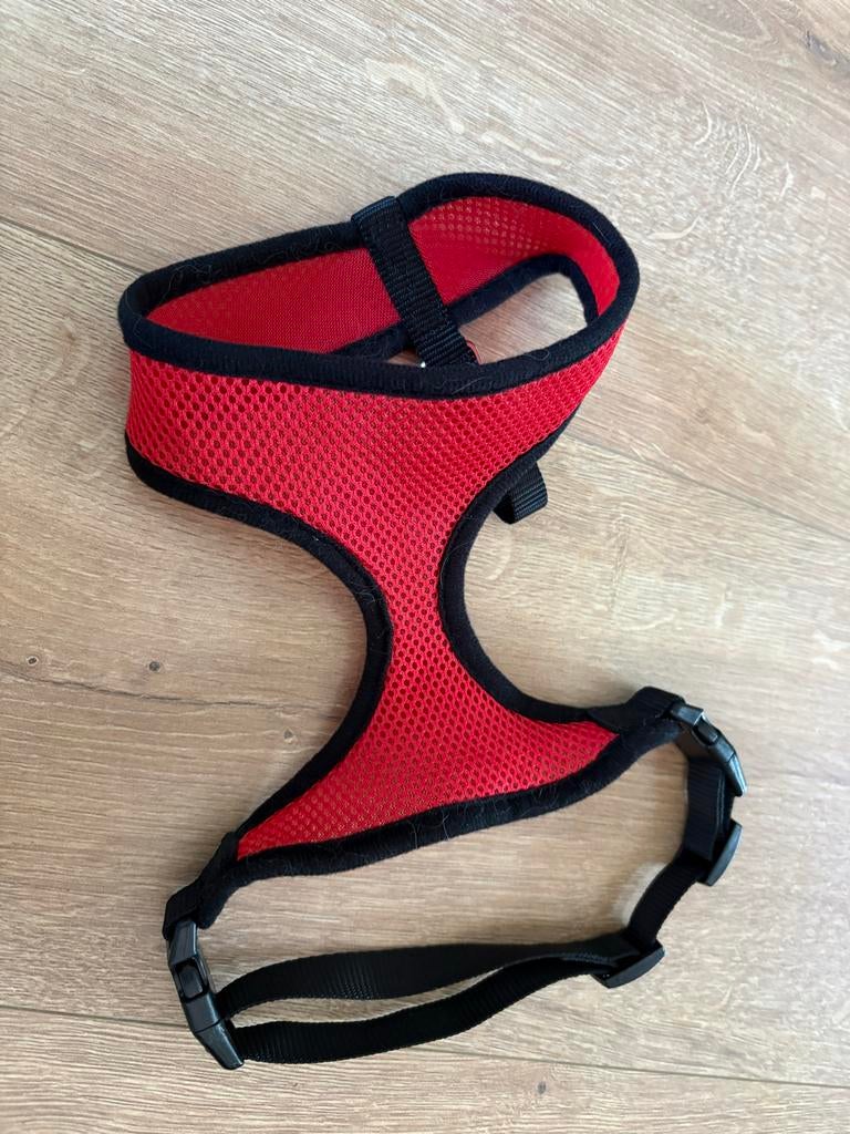 Katten of honden tuigje met korte riem., Ophalen of Verzenden