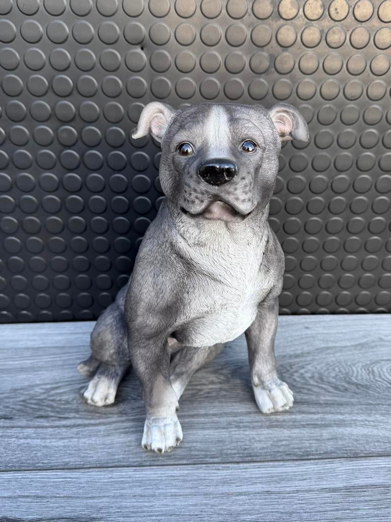 stafford zittend 33hoog 20breed/Nieuw!, Ophalen of Verzenden, Nieuw, Dier