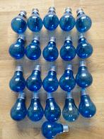 21 gloeilampen voor reptielen huisdier warmtelamp 60 watt, Ophalen of Verzenden, Zo goed als nieuw