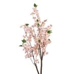 CLAYRE & EEF - KUNST - KERSEN BLOESEM BOOMPJE, Ophalen of Verzenden, Nieuw