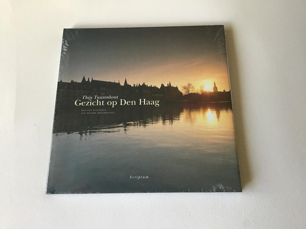 Gezicht op Den Haag door Thijs van Tuurenhout NIEUW Extra :, Ophalen of Verzenden, Nieuw