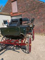 Koets, Wagonette, Paard