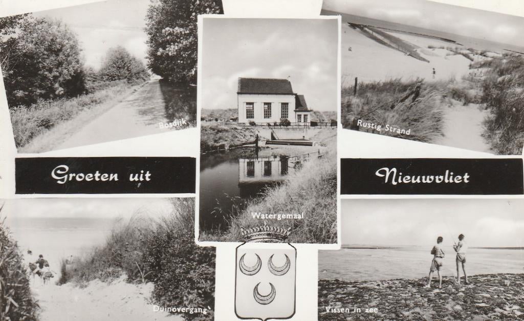groeten uit nieuwvliet, Ophalen of Verzenden, 1940 tot 1960, Friesland
