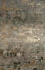 Luxe behang totaal 10 meter, Ophalen of Verzenden, Zo goed als nieuw, Rechthoekig, 200 cm of meer