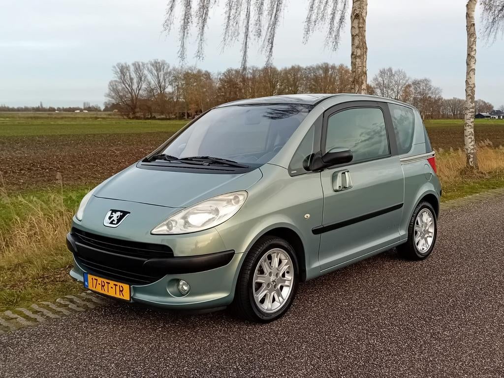 Peugeot 1007 1.6 AUTOMAAT Gentry, Bedrijf, Te koop