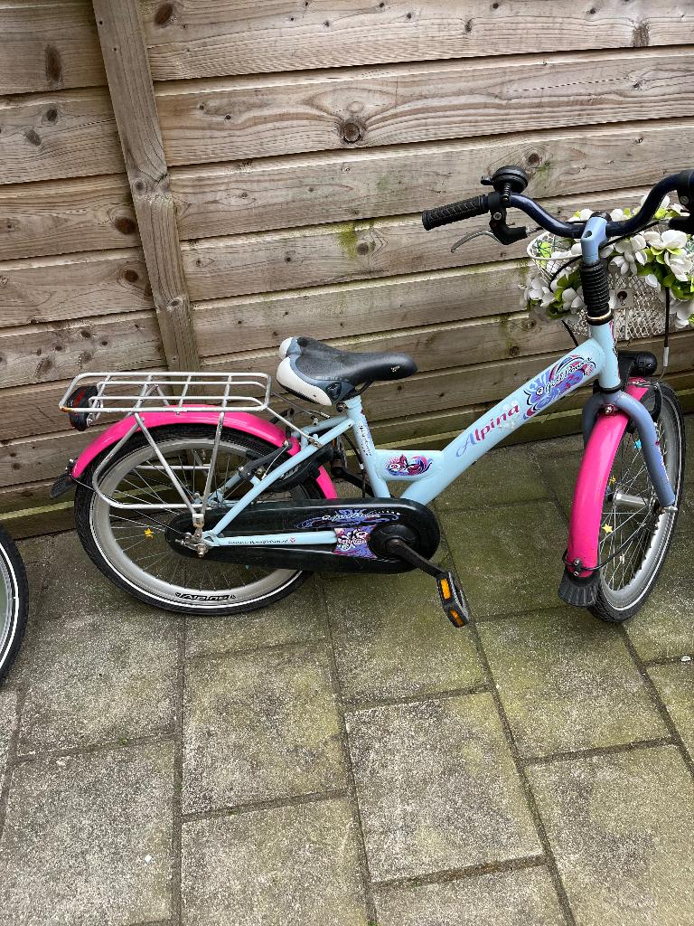 Leuk meisjes fietsje, 20 inch., Fietsen en Brommers, Fietsen | Meisjes, Ophalen, Gebruikt, 20 inch, Handrem
