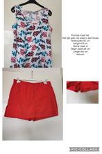 132 .. leuk setje maat 46, Kleding | Dames, Grote Maten, Ophalen of Verzenden, Zo goed als nieuw, Overige kleuren, Blouse of Tuniek