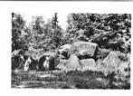 Schoonoord. De Papalozekerk. Hunebed, Ophalen of Verzenden, 1960 tot 1980, Ongelopen, Drenthe