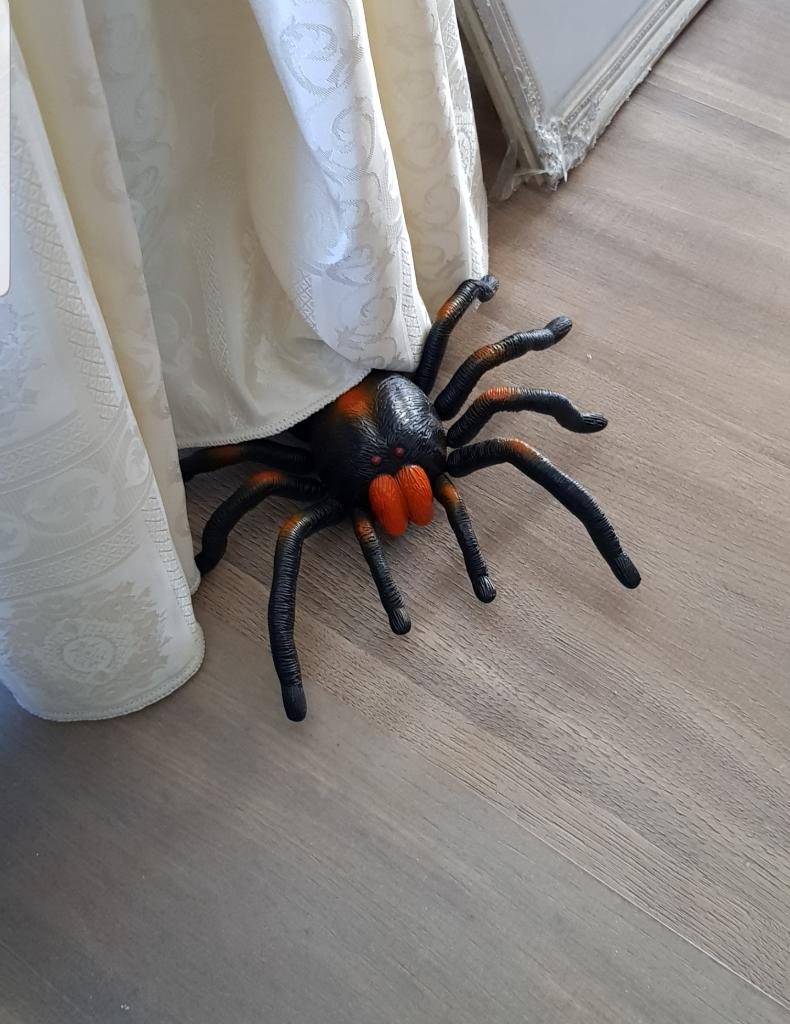 Grrriezelig grote Tarantula spin radiografisch bestuurbaar, Ophalen of Verzenden, Zo goed als nieuw, Jongen of Meisje