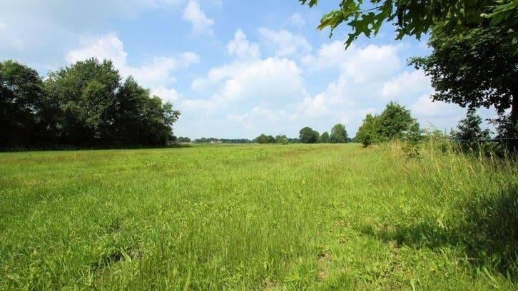 Stalling met weidegang gezocht, Dieren en Toebehoren, Stalling en Weidegang, Weidegang