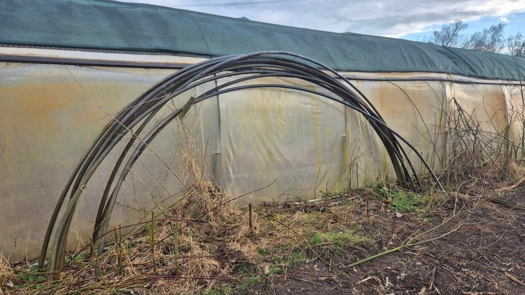 Tunnelkasbogen, Tuin en Terras, Kassen, Ophalen, Glas, Staal