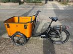 Qivelo N8 Bakfiets uit 2021, Gebruikt, Goederen, Elektrisch, Ophalen