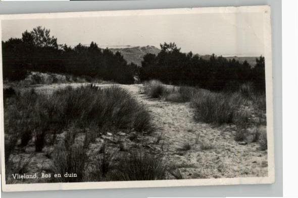 Vlieland Bos en Duin zegel + st 1950