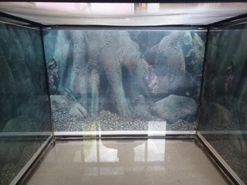 Terrarium 60x45x45 Glas beschikbaar voor biedingen