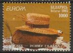 Europa CEPT Witrusland/ Belarus 2005 MiNr. 594 gestempeld, Postzegels en Munten, Postzegels | Europa | Overig, Europa, Overige landen