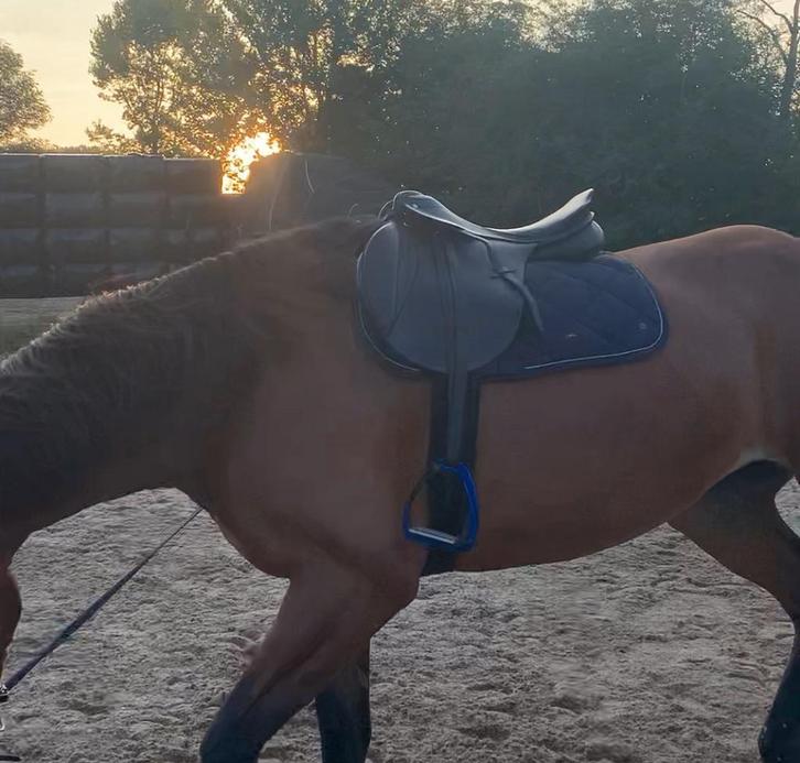 Zwart leren springzadel Passier & Sohn 17,5, Dieren en Toebehoren, Paarden en Pony's | Zadels, Zo goed als nieuw, Recreatie, Ophalen