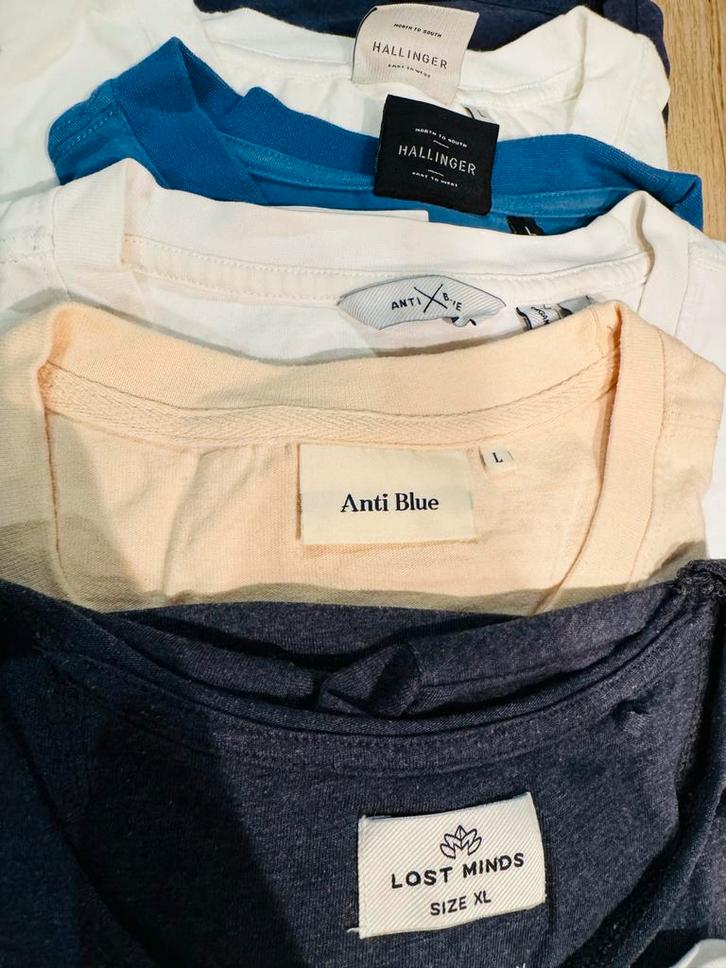 T-shirts 9x heren L/XL - Dockers, Anti Blue, Lost Minds, Kleding | Heren, T-shirts, Gedragen, Maat 52/54 (L), Overige kleuren