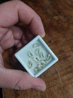 Halve citrien maantjes, Ophalen of Verzenden, Nieuw